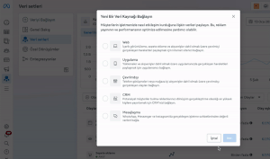 meta pixel isimlendirme